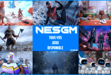 NESGM - Telecharger vos jeux PS4, Nintendo Switch, 3DSN , PC, Ps Vita, PSP