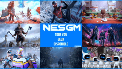 NESGM - Telecharger vos jeux PS4, Nintendo Switch, 3DSN , PC, Ps Vita, PSP